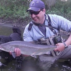 Meet your Posher, Normand